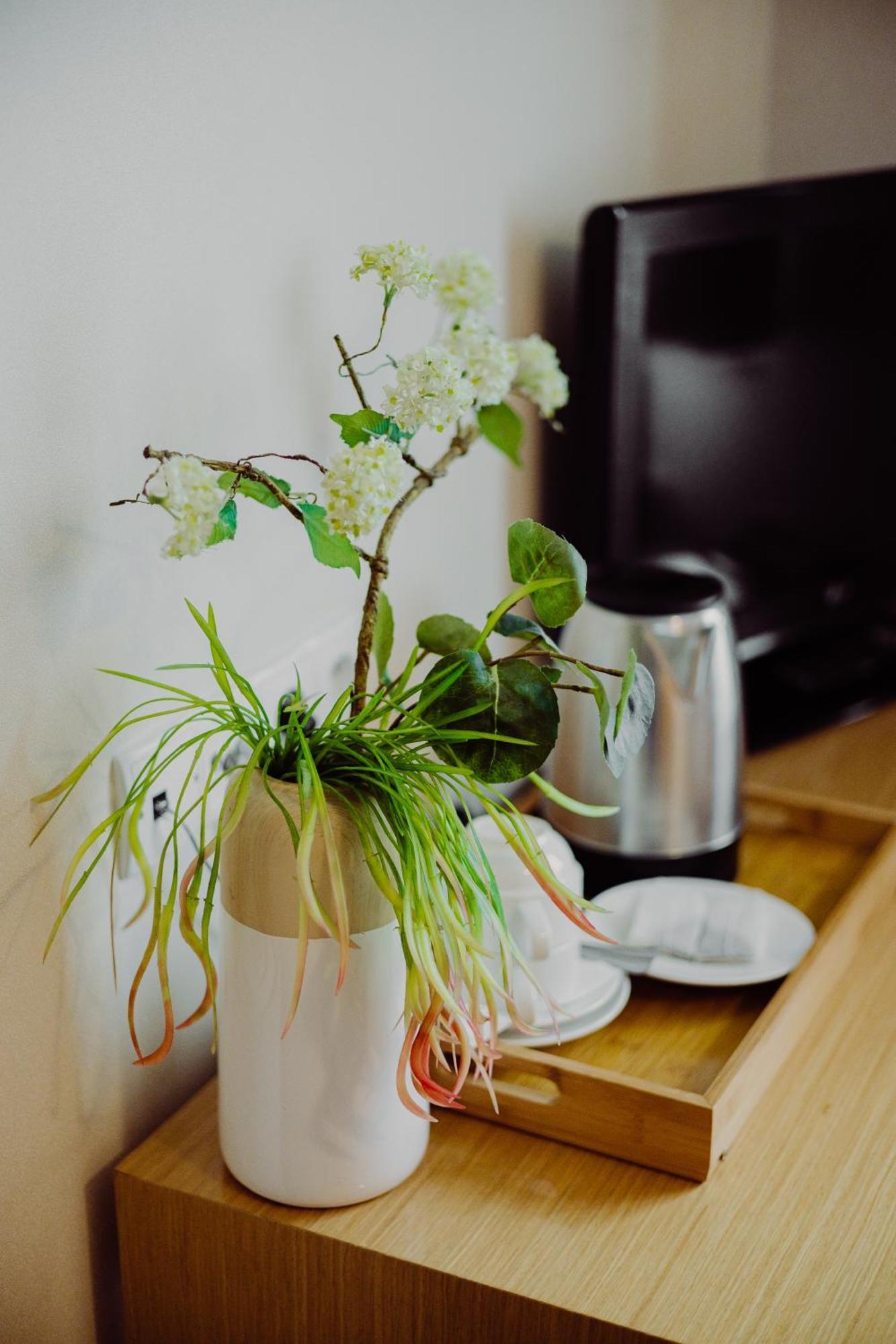 Hotel Bonsai Ниемча Екстериор снимка