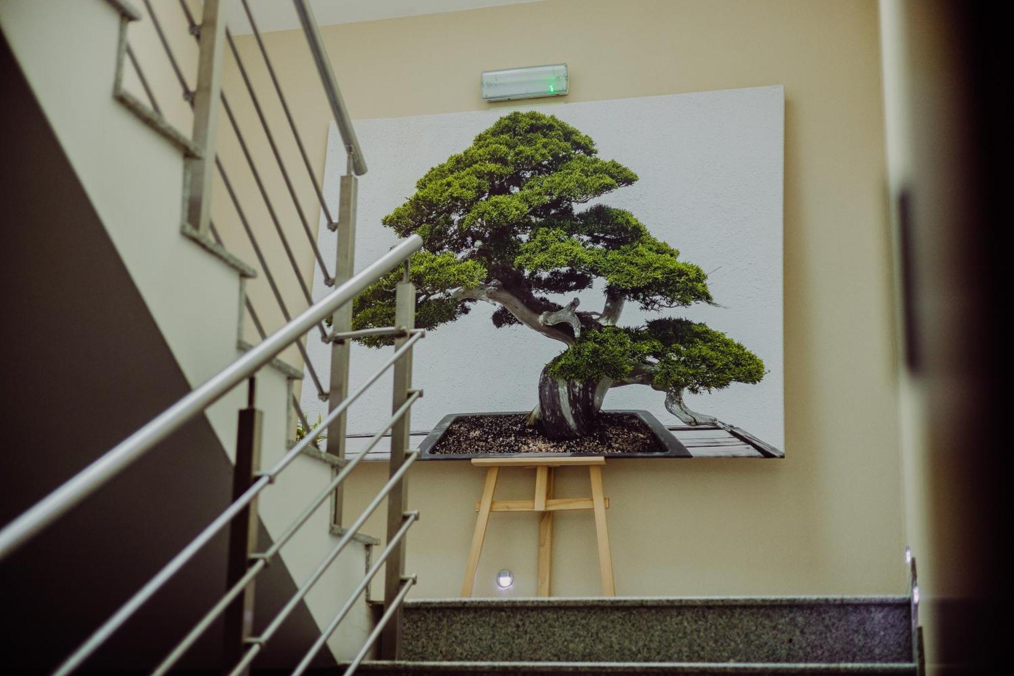 Hotel Bonsai Ниемча Екстериор снимка