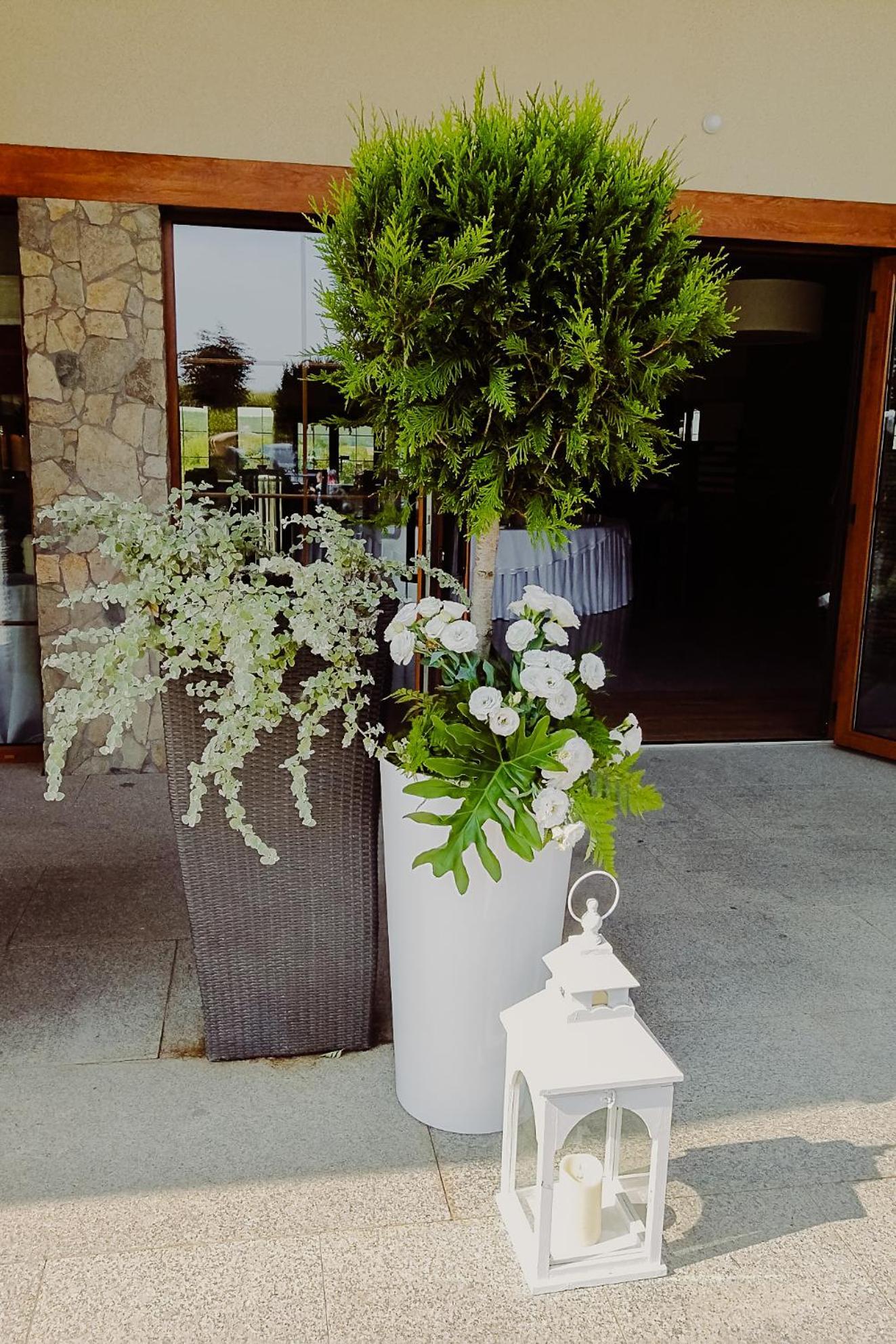 Hotel Bonsai Ниемча Екстериор снимка